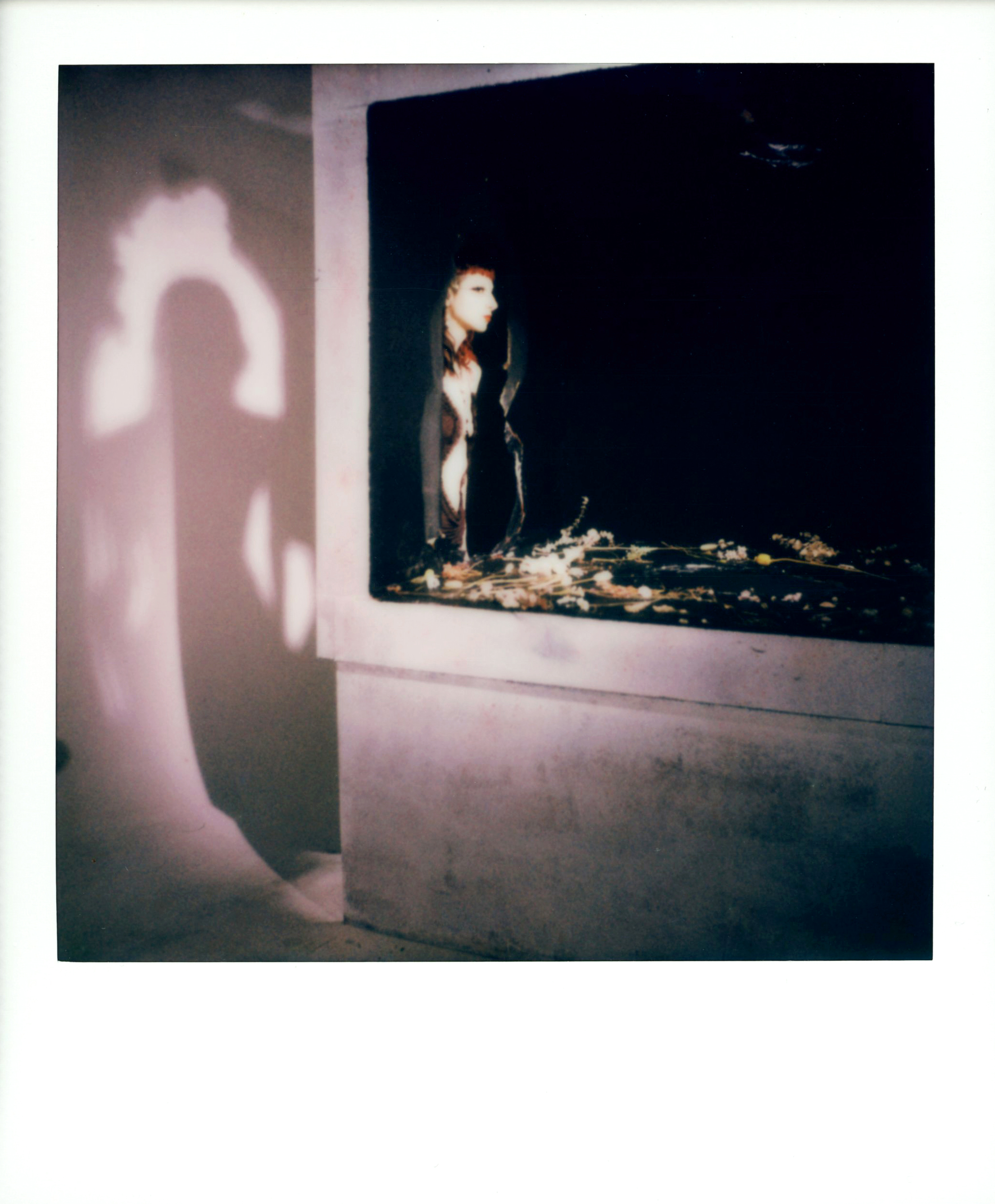 Tender Violence — XIV